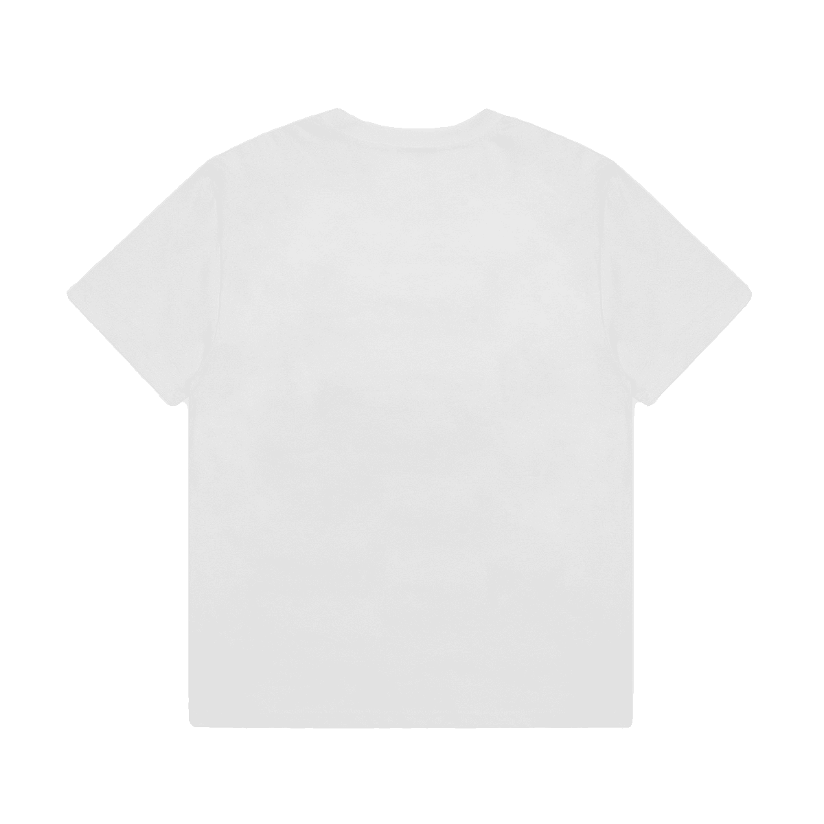 Represent Retro Washed Distressed Lark Print Loose American Casual T-Shirt